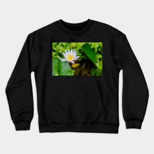 Unique nature photography Water lily Nympthaea Crewneck Sweatshirt